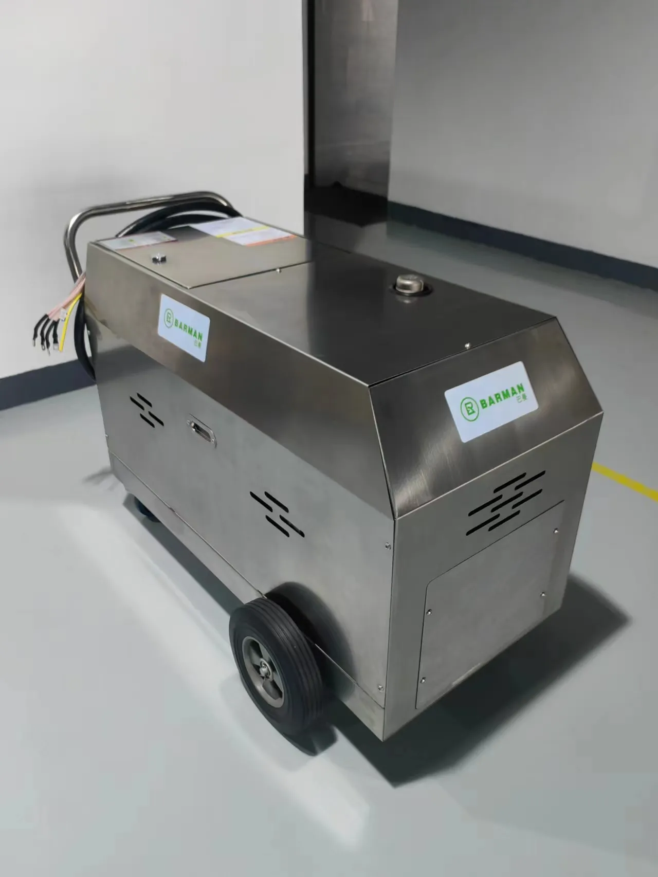 Explosin proof steam cleaner